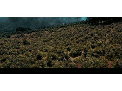 《金剛川》，這就是中國制造的速度！